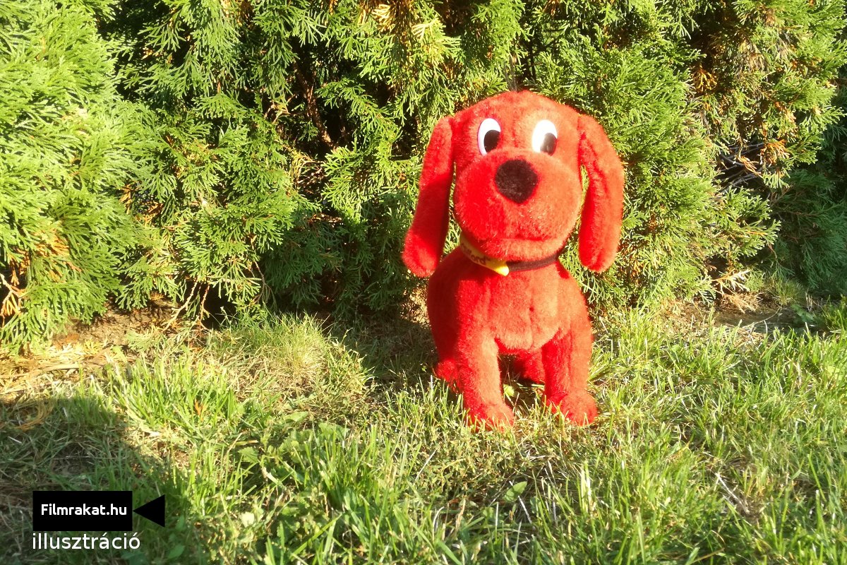 Clifford